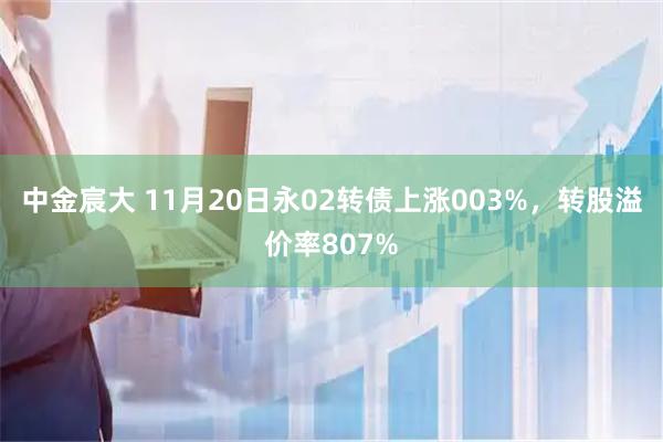 中金宸大 11月20日永02转债上涨003%，转股溢价率807%