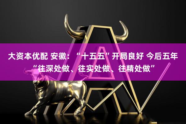 大资本优配 安徽：“十五五”开局良好 今后五年“往深处做、往实处做、往精处做”